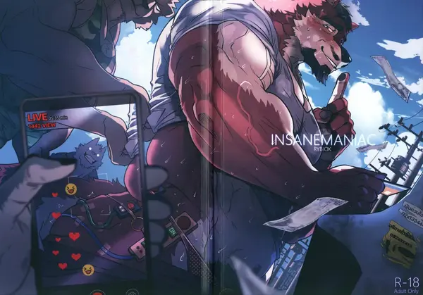 Insane Maniac Desperation